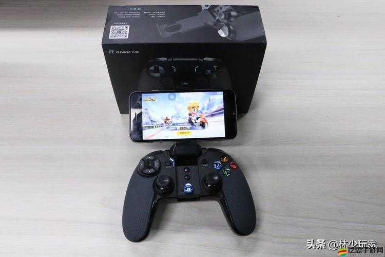 詳盡指南，如何在雨中冒險游戲中正確使用手柄進行操作與控制