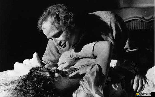 歐美性猛片 AAAAAAA 震撼來襲：極致激情演繹