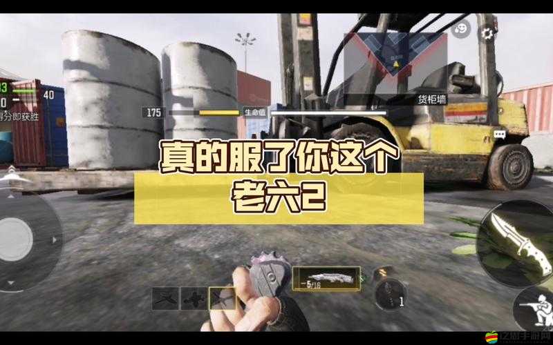 使命召喚10游戲卡屏問(wèn)題解決方案，專(zhuān)業(yè)技巧助你輕松告別游戲煩惱！