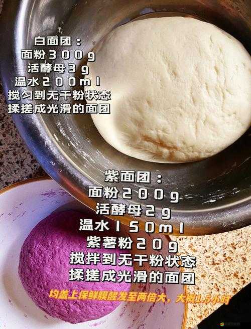 鮑魚、一線天、蝴蝶饅頭長什么樣？