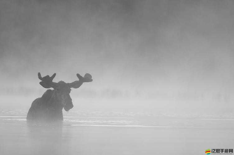 色愁愁久久久：探尋其背后的深刻情感與獨特魅力所在