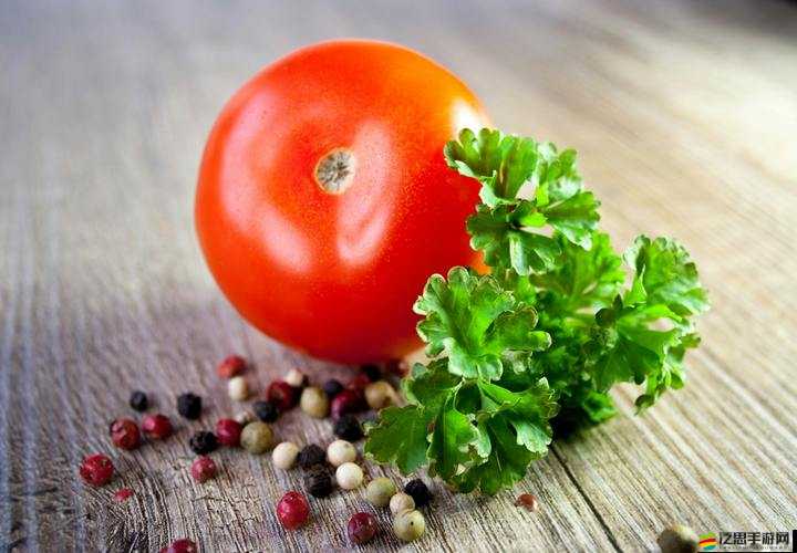 茄子香蕉榴蓮草莓絲瓜向日葵免費版：相關物品介紹與使用說明