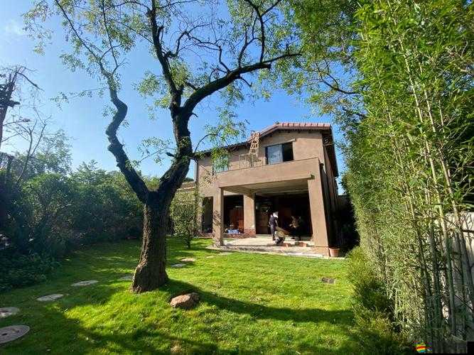 探尋綠意盎然海角原創在哪里看的奧秘