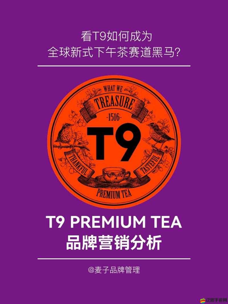 Ysl 千人千色 t9t9t9t9t9mba 具體色號及適用人群：呈現獨特魅力
