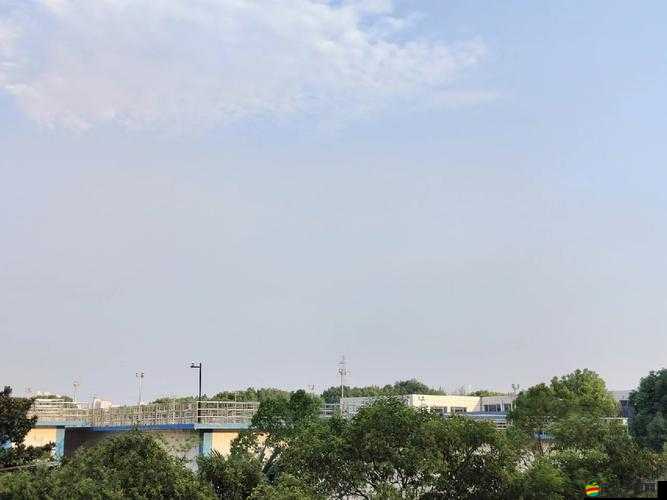 女狗出街任務表：詳細記錄狗狗出門后的各項具體任務安排