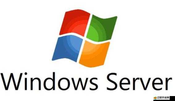 日本 WINDOWS-SERVER 角色定位：深入剖析其在技術(shù)領(lǐng)域的關(guān)鍵作用