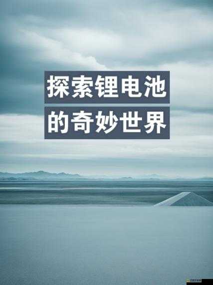 2022Cgy 鈣同登錄入口：探索未知的奇妙世界