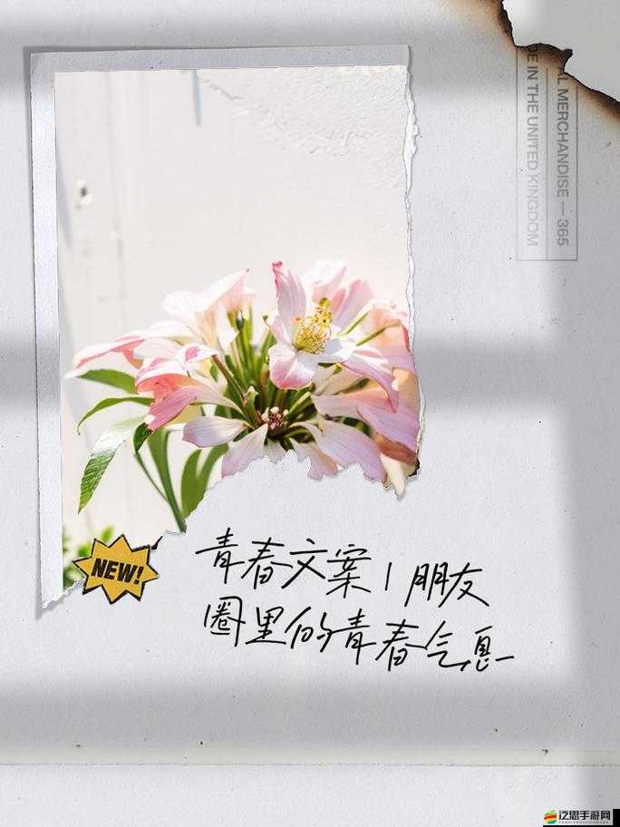 天天躁日日躁 BBBBB：激情燃燒的青春歲月