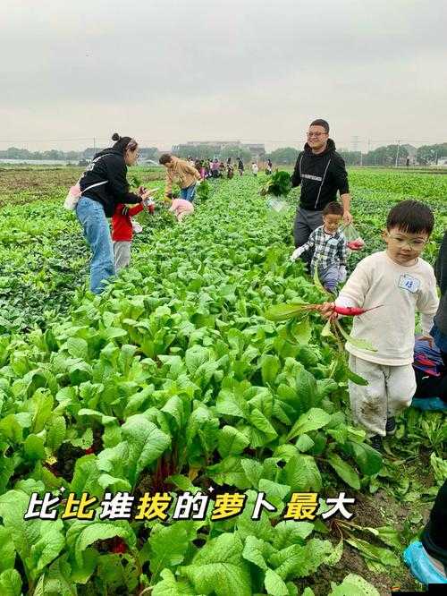 二人世界拔蘿卜生猴子：探索奇妙的生殖之旅