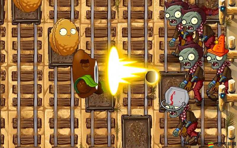 植物大戰僵尸2狂野西部關卡，高效擊殺公牛僵尸的實戰策略解析