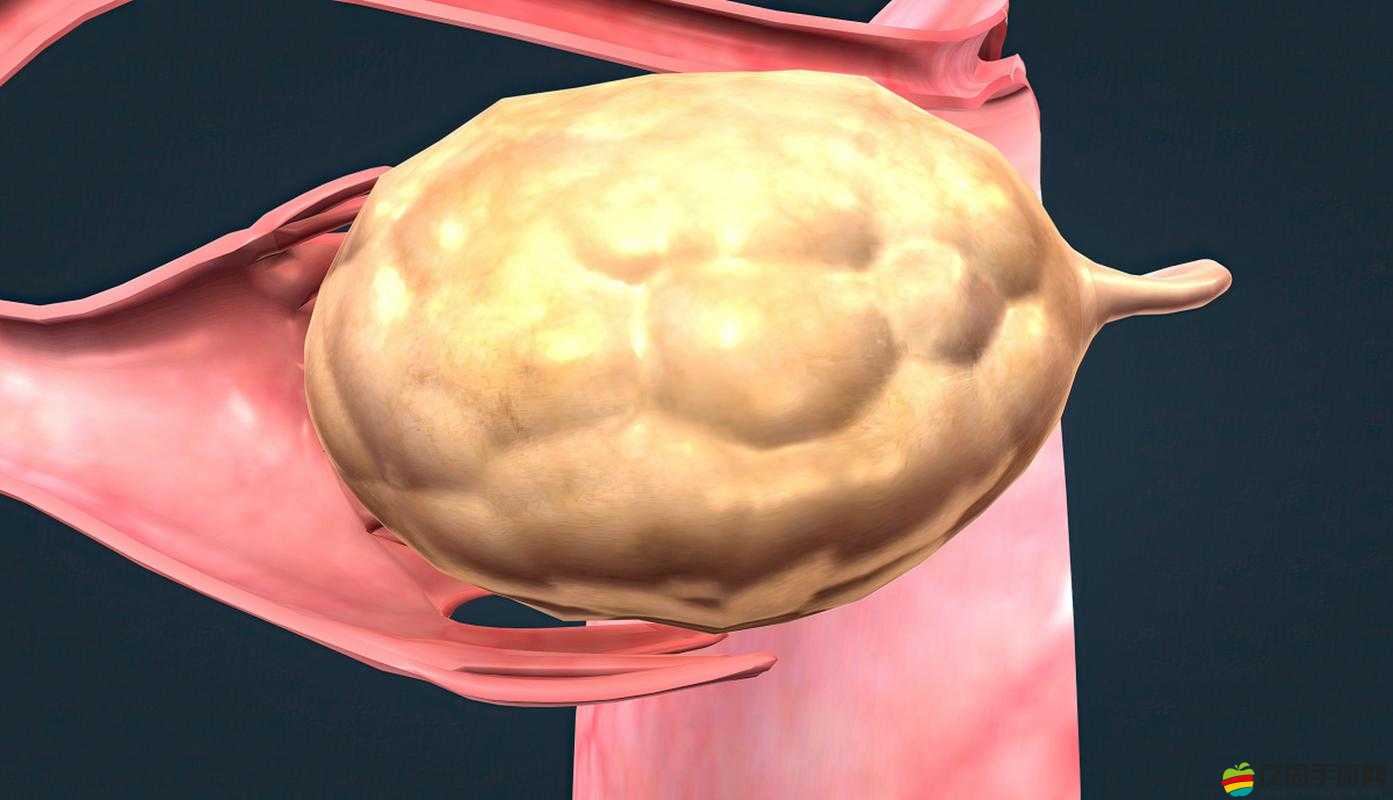 羊水栓塞：一種可能危及產婦生命的并發癥