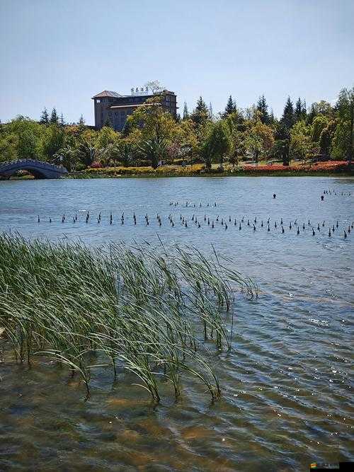 晚上真空去公園散步需注意的事項(xiàng)：確保自身安全與隱私保護(hù)