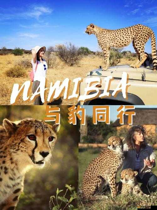 非洲美女與動交 ZoZ0z：探索神秘非洲的激情與狂野