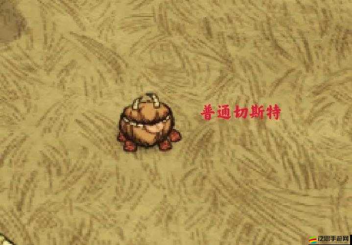 饑荒游戲營地建造地點全面解析，精心選址，打造專屬的生存與探險樂園