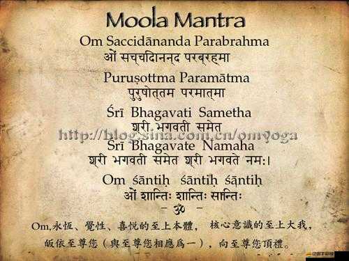 探索天堂妖精 18 精神出生背后的奧秘：揭秘其擁有多少魔力