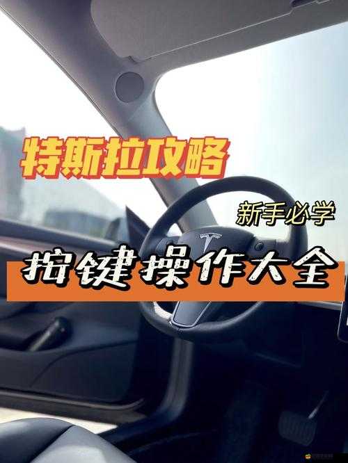 達斯蒂復仇之戰，全面解鎖你的戰斗潛能，詳盡按鍵操作全攻略指南