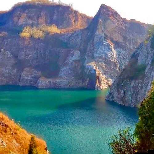 野花高清中文免費(fèi)日本：探索大自然的美麗與奧秘