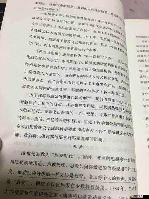 歐美 XX ：探尋其獨(dú)特魅力與深遠(yuǎn)影響力背后的故事