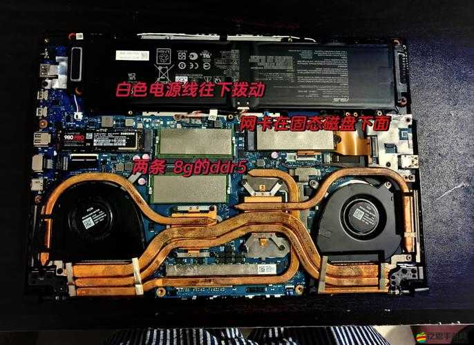 魔方世界游戲網(wǎng)卡被禁用后出現(xiàn)閃退問題？這里有專業(yè)解決妙招！