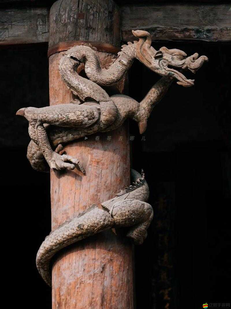 鄉(xiāng)村大殺器龍柱根寶地生金：關(guān)于其的神奇?zhèn)髡f與獨(dú)特魅力解析