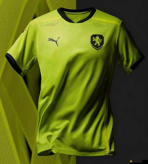 瘋狂猜圖游戲綠色球衣球隊答案全解析與攻略指南