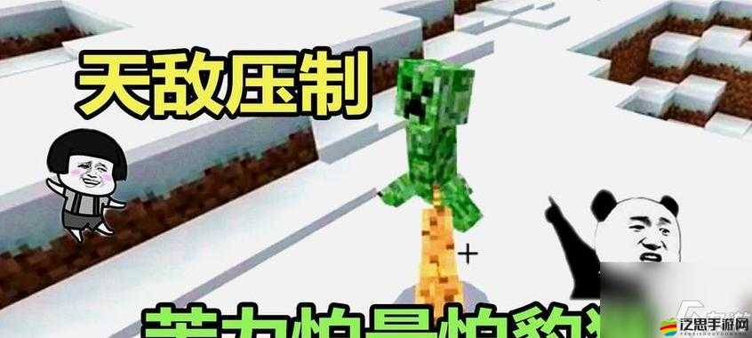 我的世界游戲指南，全面解析豹貓馴服技巧與策略