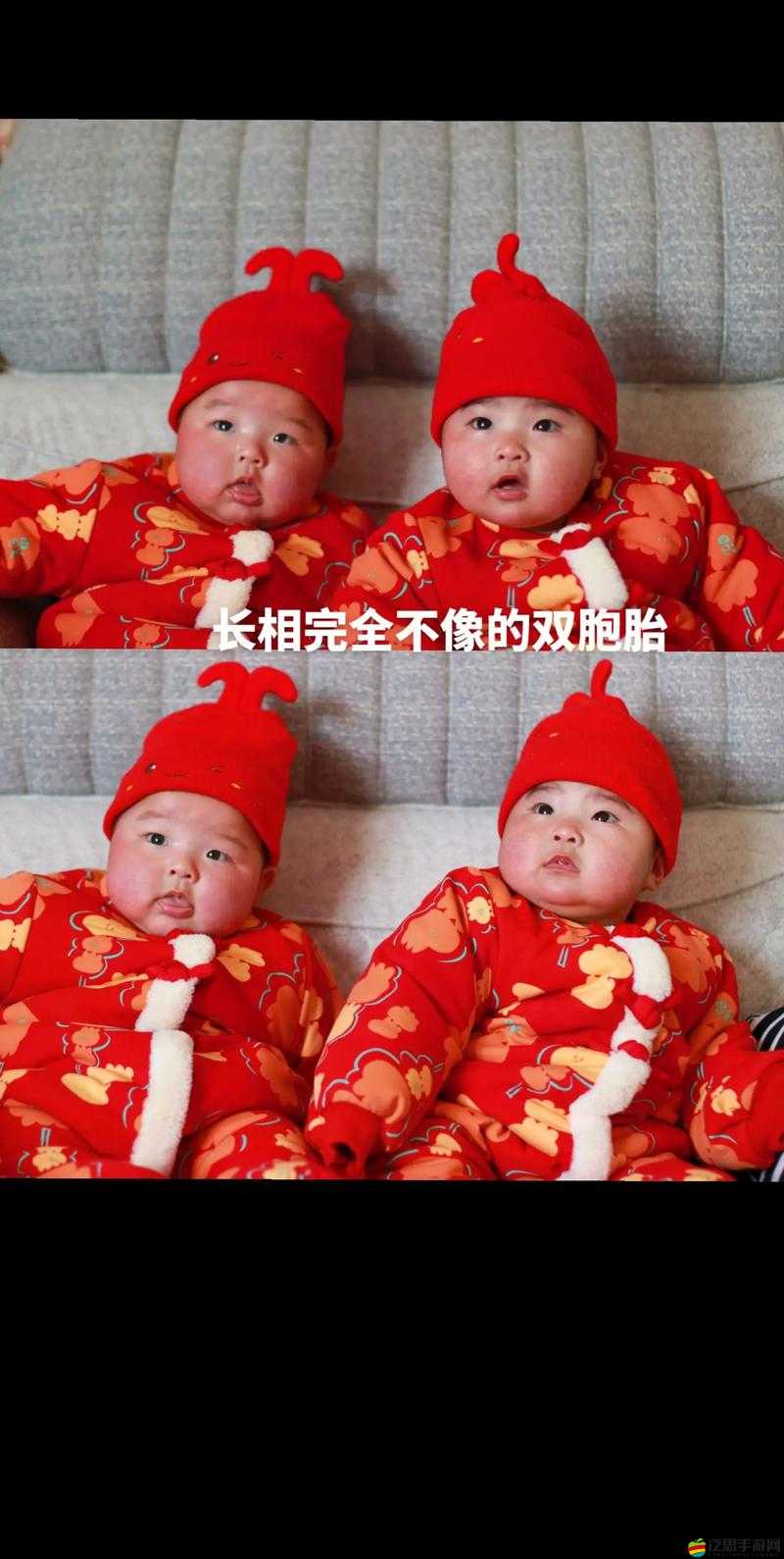 兩個奶被揉的又硬又翹是雙胞胎嗎：雙胞胎姐妹的驚人秘密