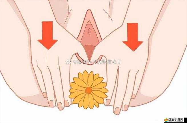 大蔭蒂毛毛特寫：女性私密部位的自然之美