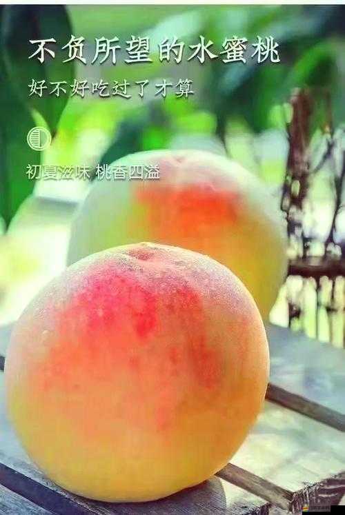 水蜜桃亞洲一二三四在線：品味甜蜜的水果之旅