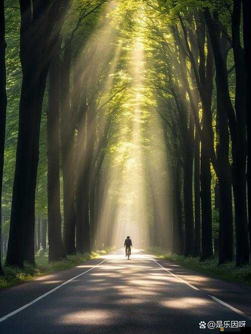 探索第七色區(qū)：未知的神秘世界