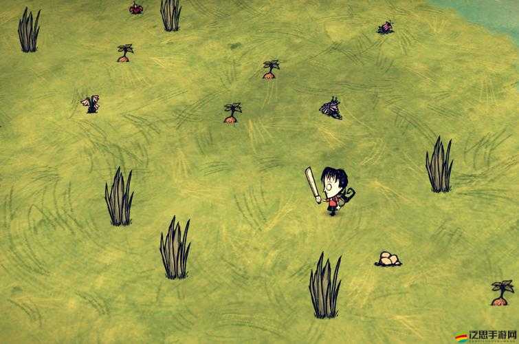 饑荒游戲中高效尋找神秘曼德拉草的實用方法與技巧解析