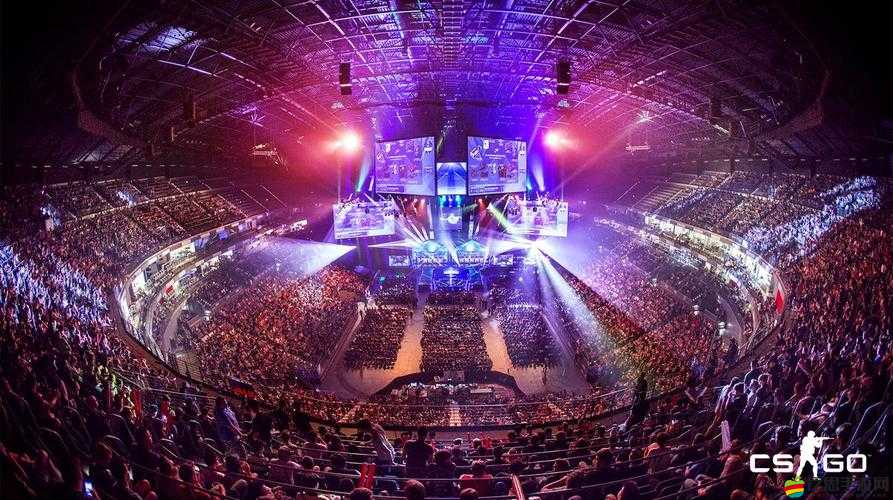 CSGO 高清大片視頻網站震撼來襲：極致視覺享受等你來