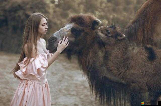 歐美人與動物 XXX：探索文化差異與動物權益