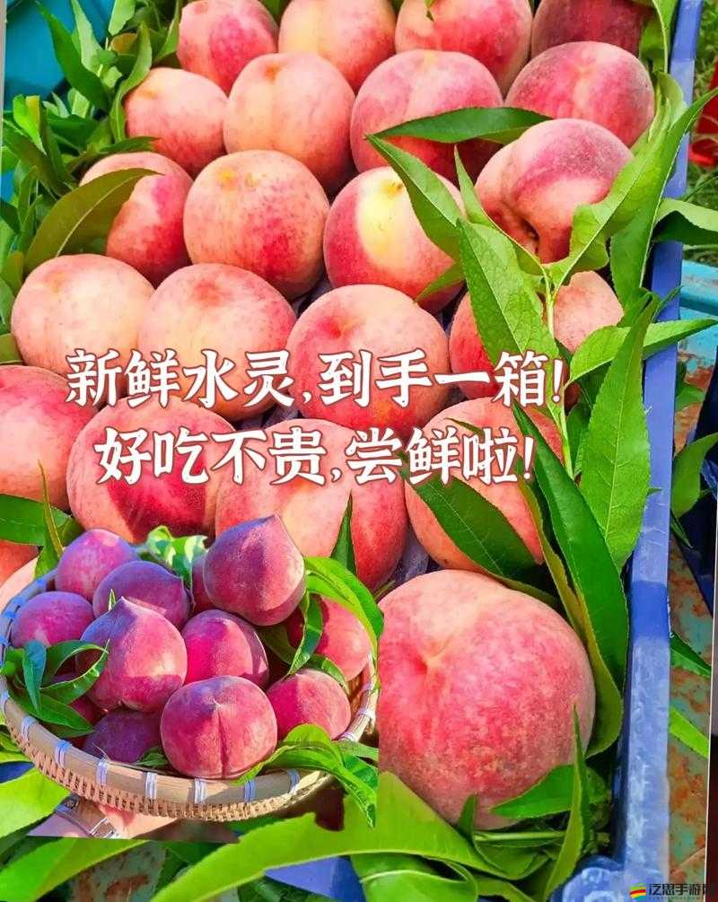 x7x7x7x7 水蜜桃免費：讓你享受甜蜜的水果盛宴