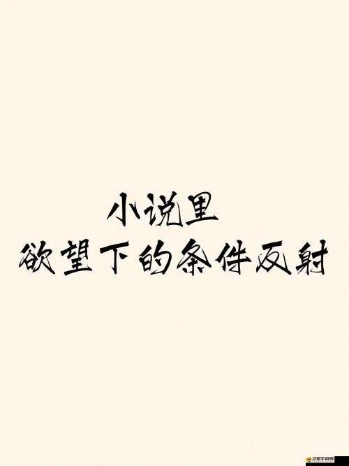 狠狠躁夜夜躁人爽碰 88A 小說：極致刺激的欲望之旅