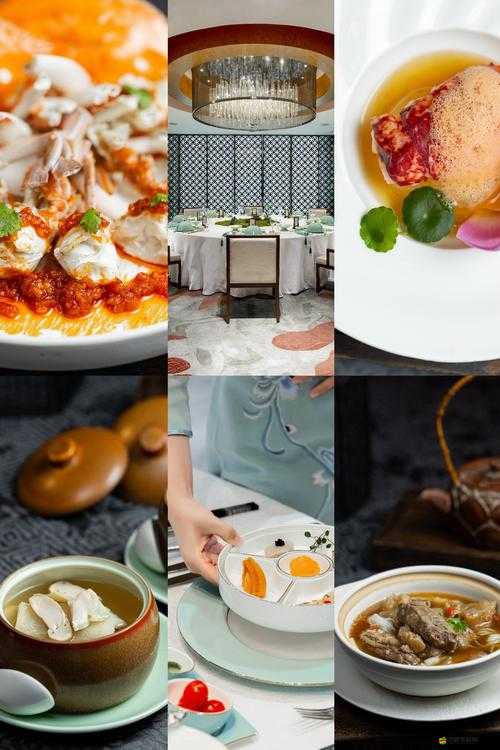 一品鮑 10 破解版：暢享非凡美食體驗之秘籍