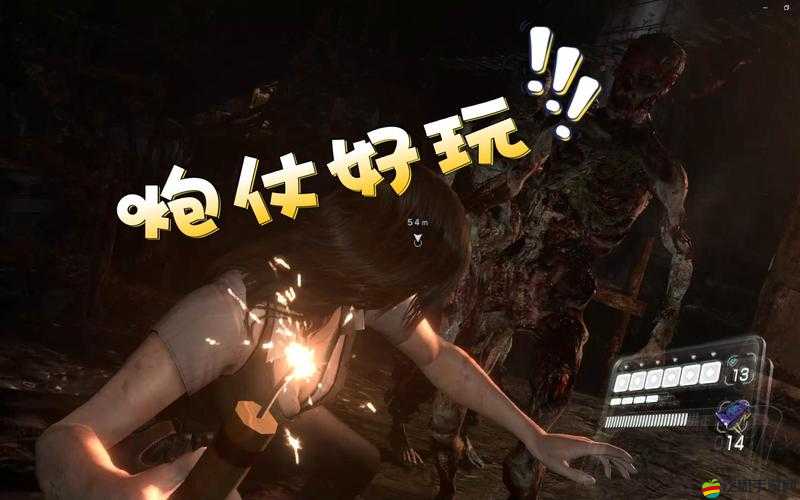 生化危機6 PC版詳細聯機教程，從零開始，輕松實現多人在線合作游戲