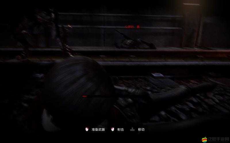 生化危機6 PC版游戲運行時出現黑屏問題的詳細解決方案