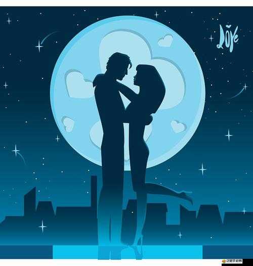 雙人晚上素材動作大全：激情燃燒的浪漫之夜