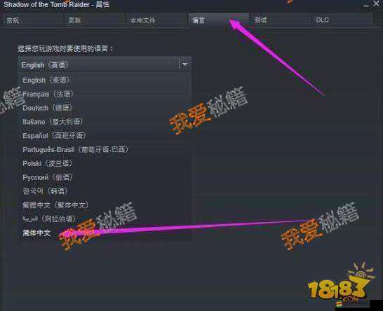 古墓麗影9游戲中文界面及語言設(shè)置詳細指南與步驟