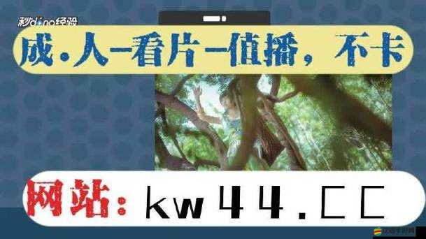 羅志祥 5G 天天奭怎么不寫了-引發(fā)眾人好奇與猜測究竟為何