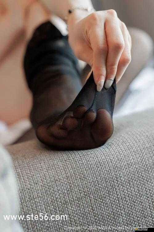 37 大但人文 comp：探究人類文化的多樣性與共性