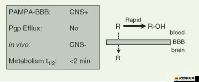 四川 BBB 柔 BBB 桑 BBB：關(guān)于它的詳細介紹與深度剖析