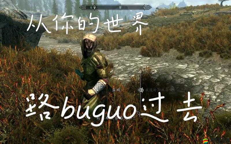 上古卷軸5游戲攻略，詳解安裝過程中遇到跳出問題的解決方法