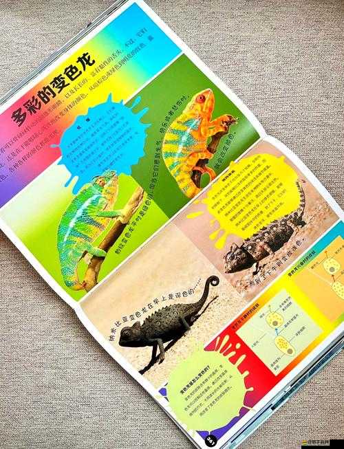 ZoomZookeeper 動(dòng)物 ：帶你走進(jìn)奇妙的動(dòng)物世界探索之旅