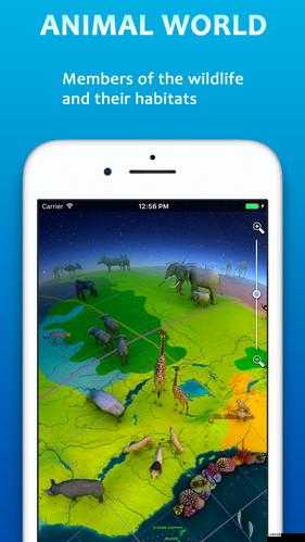 ZOOM 人狗 APP3D：一款獨(dú)特的人與狗互動(dòng)應(yīng)用程序