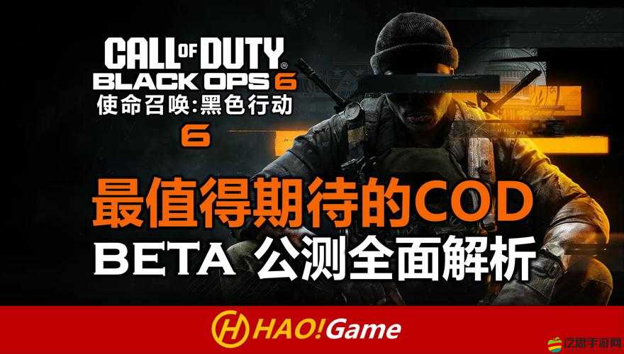 使命召喚9，黑色行動PC正式版全面解析，菜單翻譯詳盡解讀