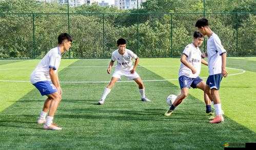 實(shí)況足球2013深度解析，揭秘妖人球隊(duì)，探索綠茵場(chǎng)上奇跡制造者的奧秘