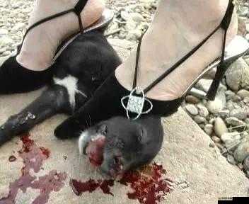 把手腳綁上后用刷子刷尿道孔這種行為極其變態且違背道德