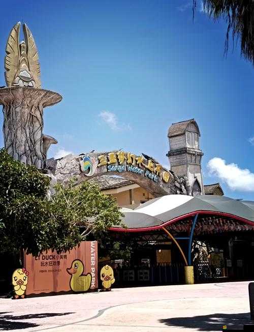 森林之子水上建家全方位指南，從零開始打造你的夢幻水上樂園